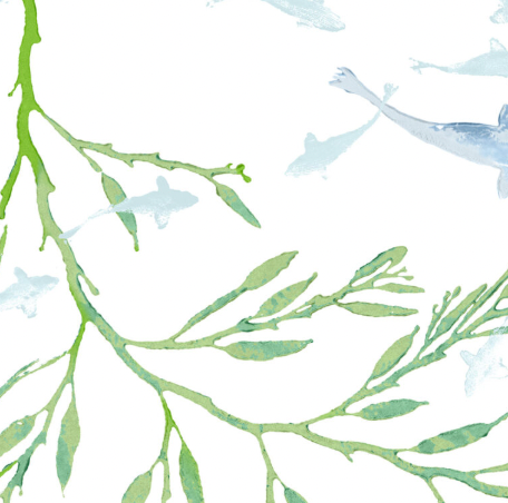 Galbraith & Paul | Koi Pond