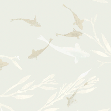 Galbraith & Paul | Koi Pond