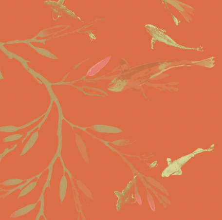 Galbraith & Paul | Koi Pond