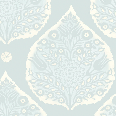 Galbraith & Paul | Little Lotus