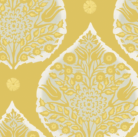 Galbraith & Paul | Little Lotus