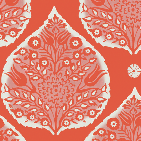 Galbraith & Paul | Little Lotus