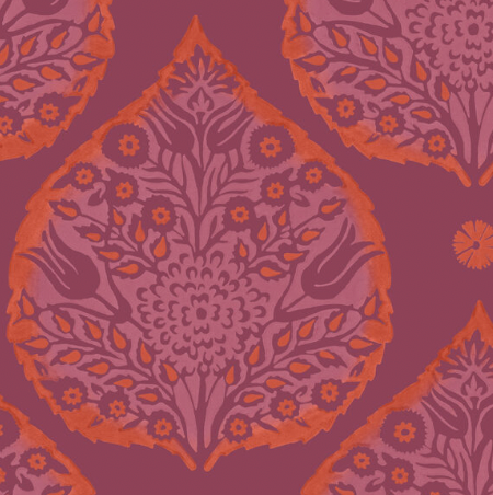 Galbraith & Paul | Little Lotus