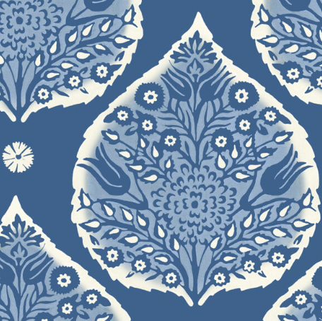 Galbraith & Paul | Little Lotus