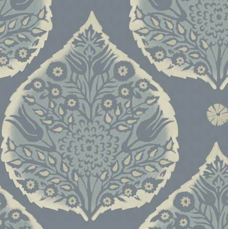 Galbraith & Paul | Little Lotus