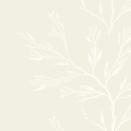 Galbraith & Paul | Nori Stripe