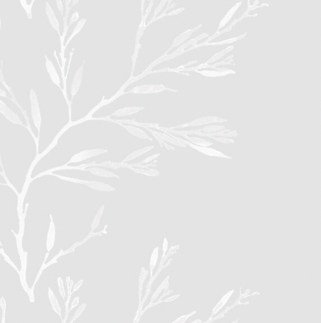 Galbraith & Paul | Nori Stripe