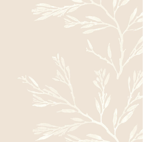 Galbraith & Paul | Nori Stripe