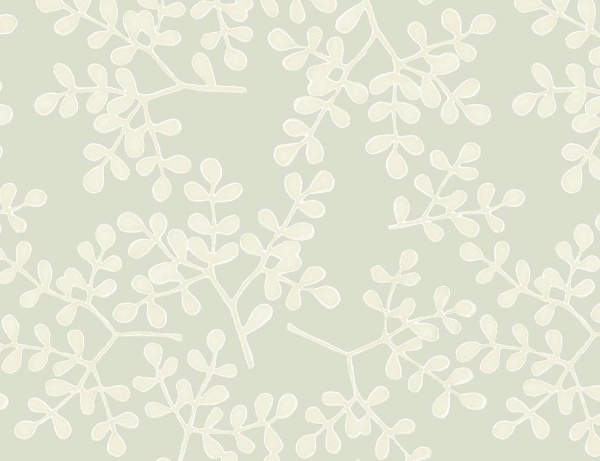 Galbraith & Paul | Smokebush