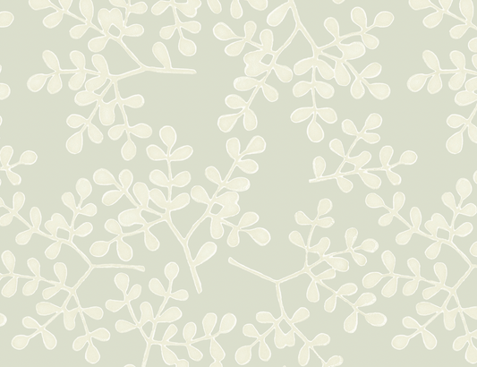 Galbraith & Paul | Smokebush