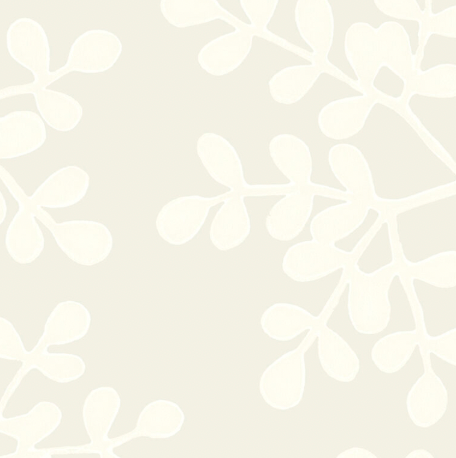 Galbraith & Paul | Smokebush