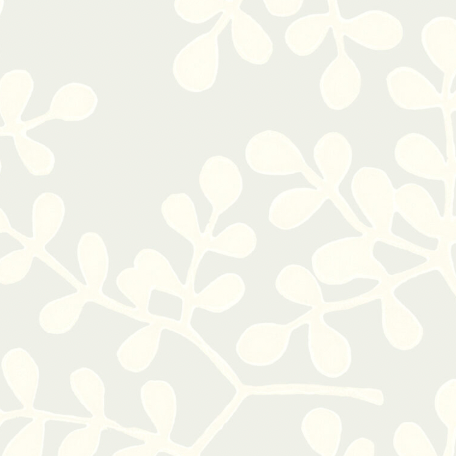 Galbraith & Paul | Smokebush