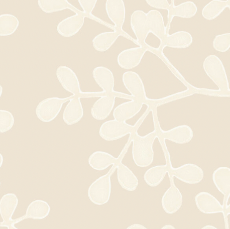 Galbraith & Paul | Smokebush