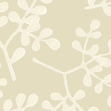 Galbraith & Paul | Smokebush