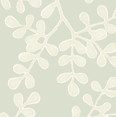 Galbraith & Paul | Smokebush