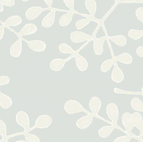 Galbraith & Paul | Smokebush