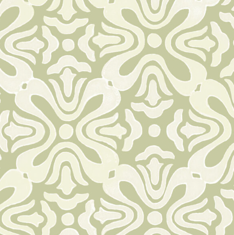 Galbraith & Paul | Tulip