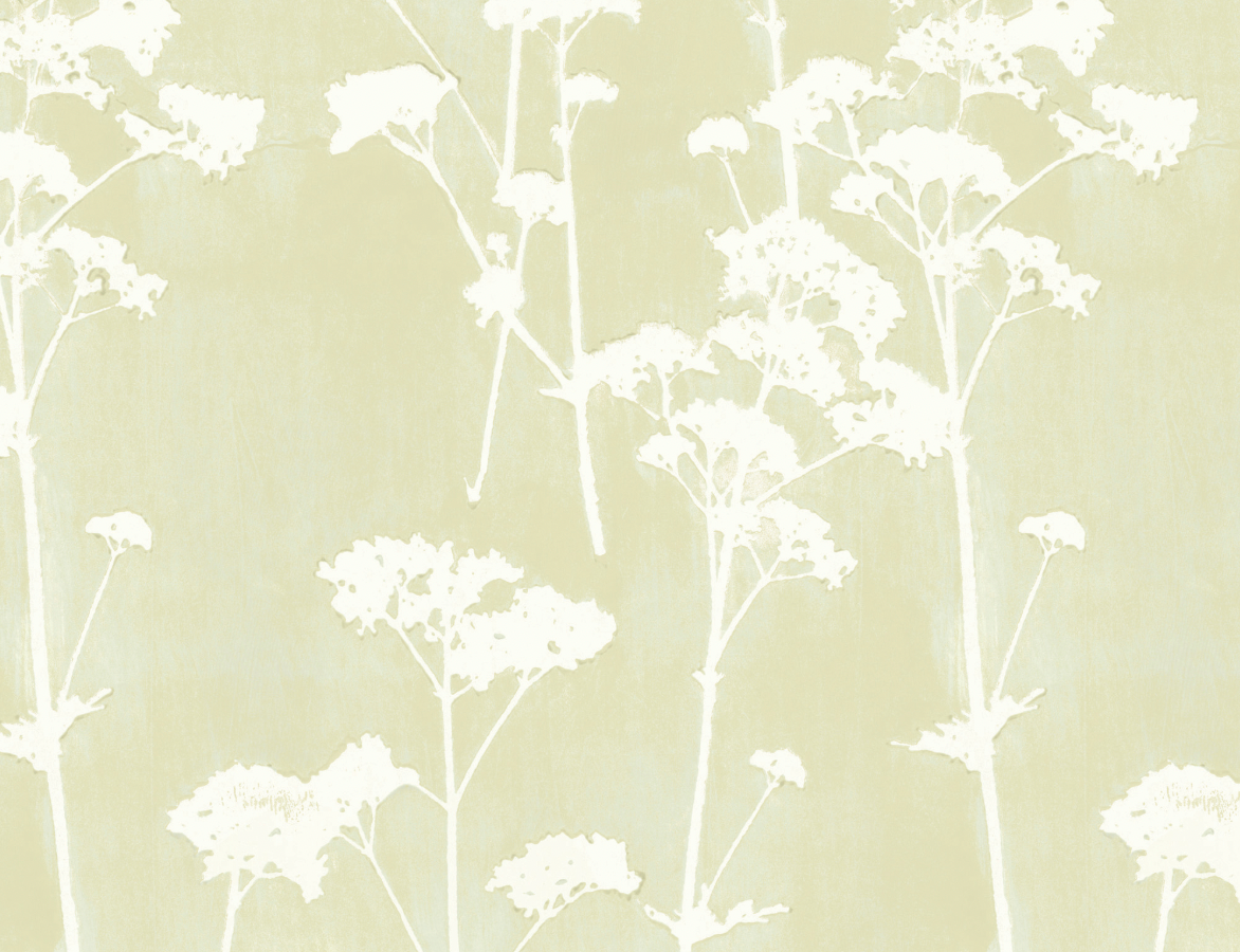 Galbraith & Paul | Valerian