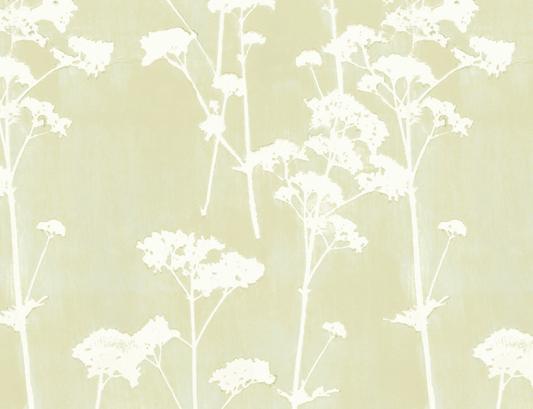 Galbraith & Paul | Valerian