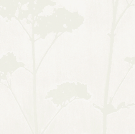 Galbraith & Paul | Valerian