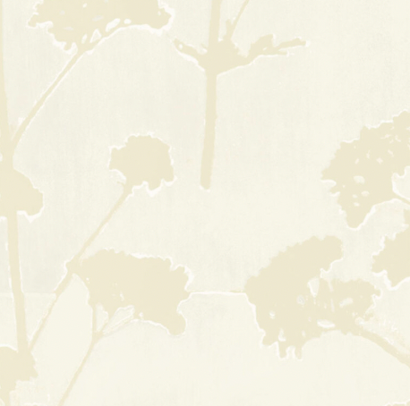 Galbraith & Paul | Valerian