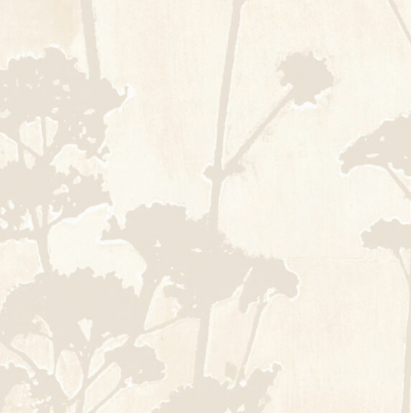 Galbraith & Paul | Valerian