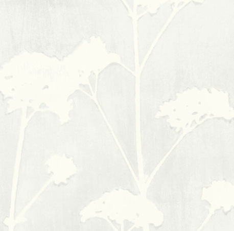 Galbraith & Paul | Valerian