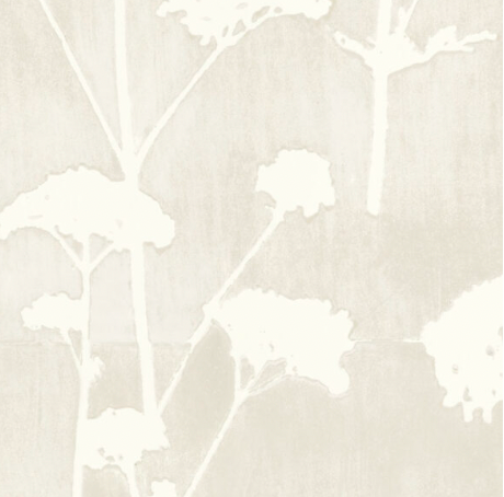 Galbraith & Paul | Valerian