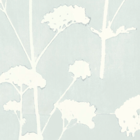 Galbraith & Paul | Valerian