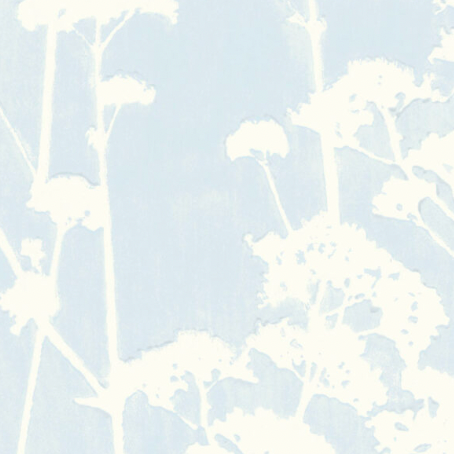 Galbraith & Paul | Valerian