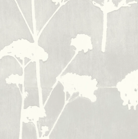 Galbraith & Paul | Valerian