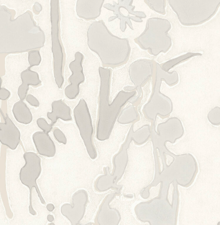 Galbraith & Paul | Wildflower