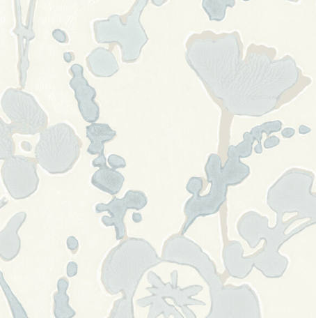 Galbraith & Paul | Wildflower