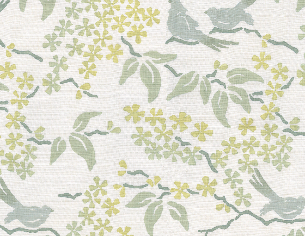 Galbraith & Paul | Birds