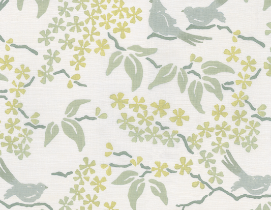 Galbraith & Paul | Birds