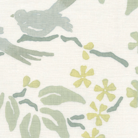 Galbraith & Paul | Birds