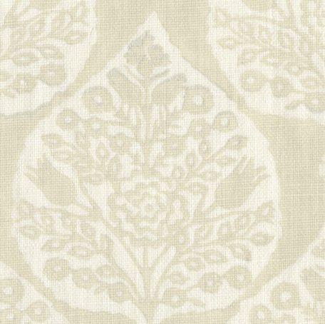 Galbraith & Paul | Little Lotus