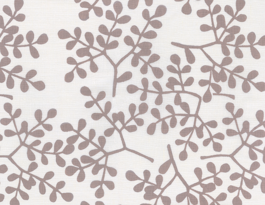 Galbraith & Paul | Smokebush