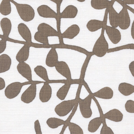 Galbraith & Paul | Smokebush