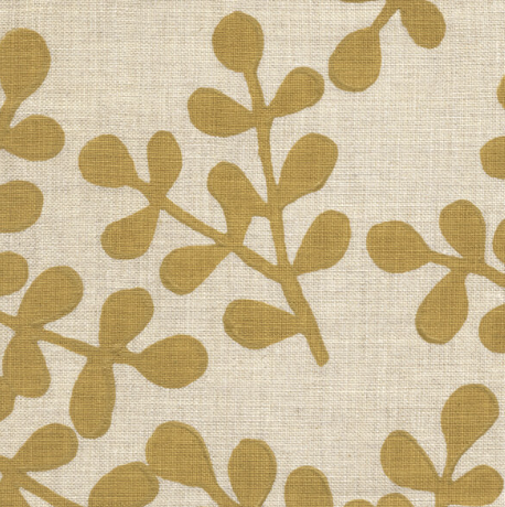 Galbraith & Paul | Smokebush