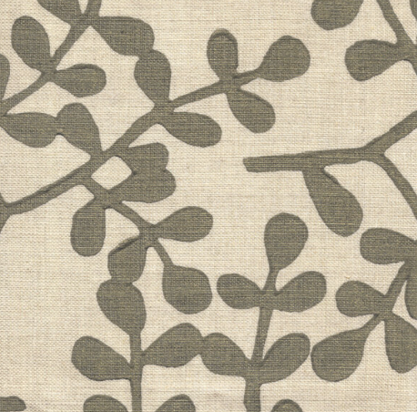 Galbraith & Paul | Smokebush