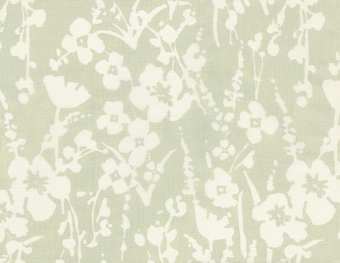 Galbraith & Paul | Wildflower