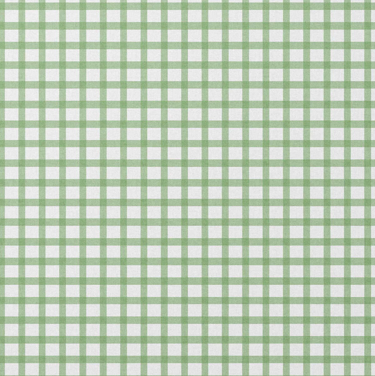 Charlotte Gaisford | Check