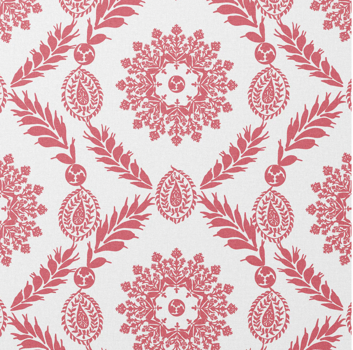 Charlotte Gaisford | Rosie