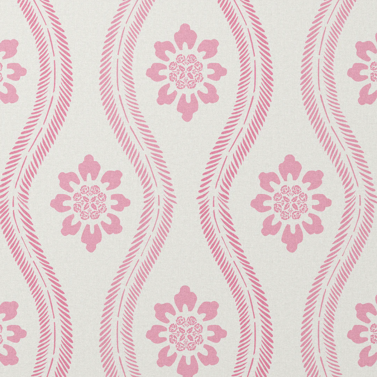 Charlotte Gaisford | Phoebe