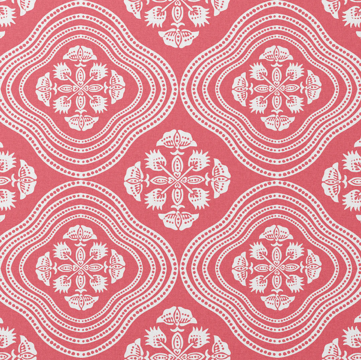 Charlotte Gaisford | Halo