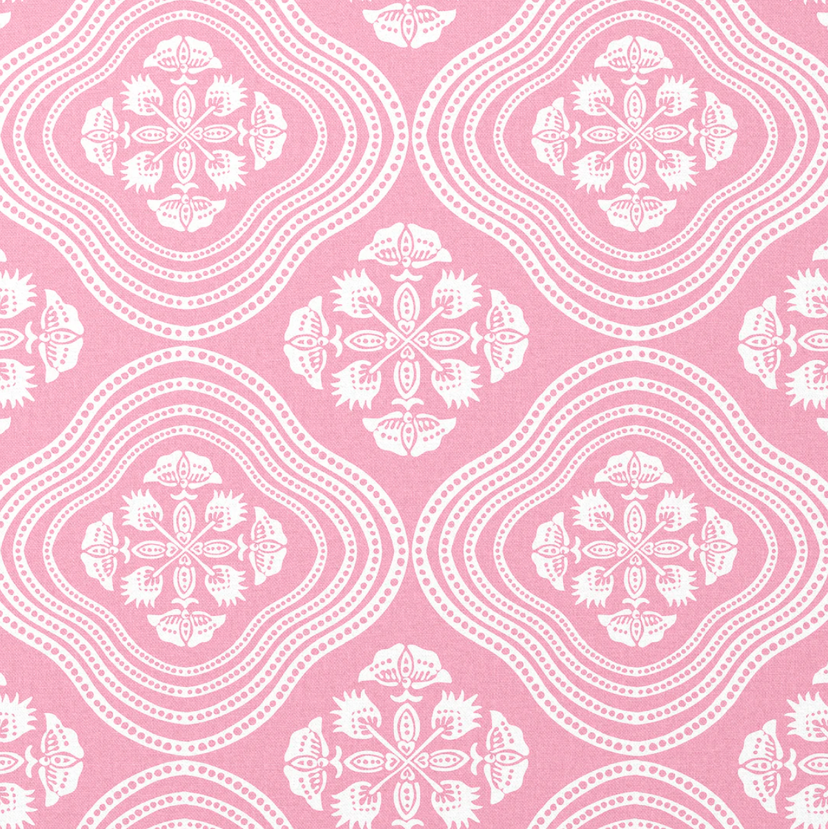 Charlotte Gaisford | Halo