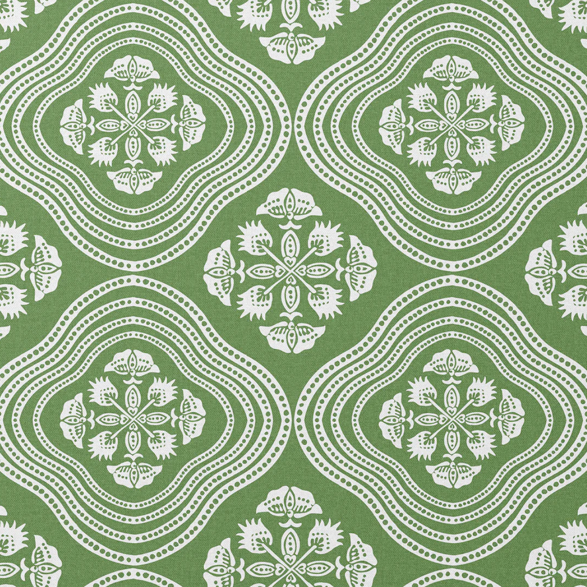 Charlotte Gaisford | Halo