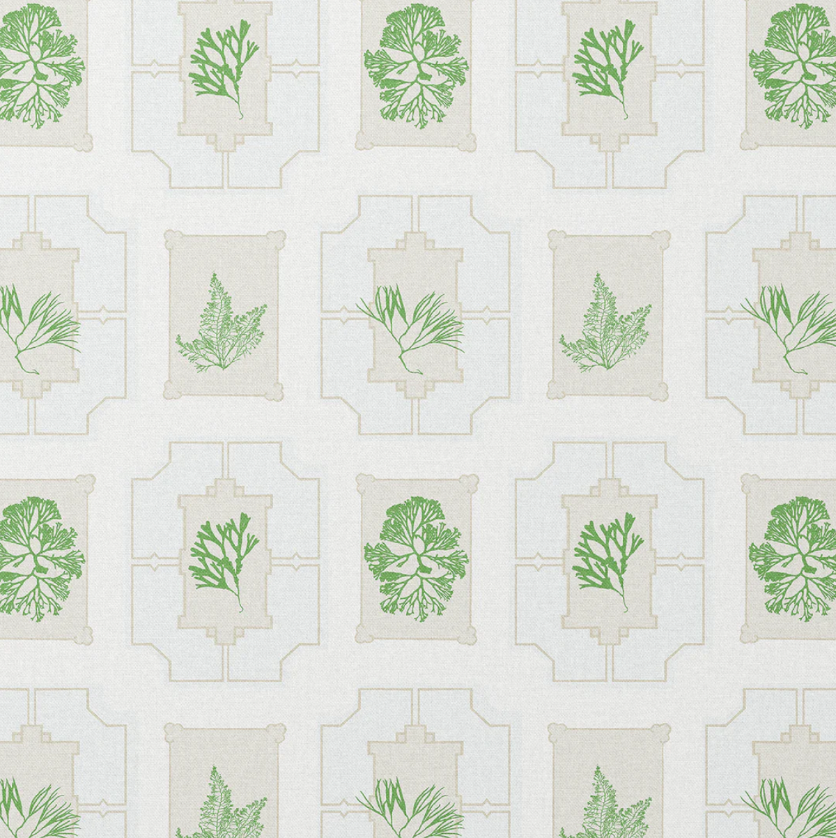 Charlotte Gaisford | Coral