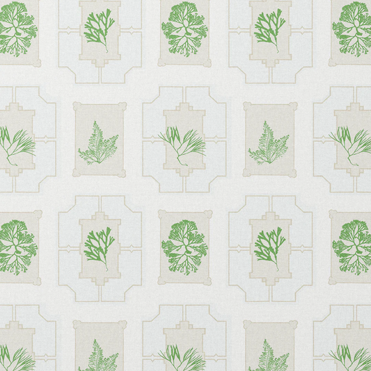 Charlotte Gaisford | Coral